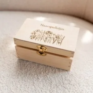 Haarspulletjes - 2 vaks